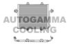 AUTOGAMMA 101787 Condenser, air conditioning